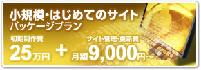 小規模・はじめてのサイトパッケージプラン